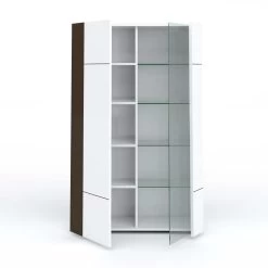 Vitrinekast Tarak 100cm 2 Deuren - Wit/zwart -Collectie Woonkamermeubels 3102000107943 D3 KARAT 3615 VITRINE 1PO 1PG N20 18SA4020 505c