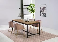 Eetkamerstoel Nelsie - Roze/goud -Collectie Woonkamermeubels 3C4367AE 9B9F 4A44 8E4B 31A8C2C28EB5 e038