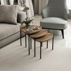 Stijlvolle Woody Fashion Nesting Table - Walnoot | 3-delige Set 18 Stijlvolle Woody Fashion Nesting Table - Walnoot | 3-delige Set -Collectie Woonkamermeubels 506MNR1225 20 203 99a4