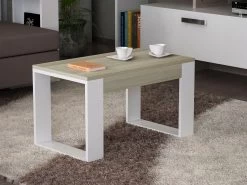 Houten Kunst Salontafel | 18mm Melamine Gecoat | Cordoba Wit | Opbergmeubel