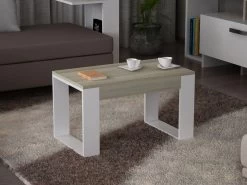 Houten Kunst Salontafel | 18mm Melamine Gecoat | Cordoba Wit | Opbergmeubel -Collectie Woonkamermeubels 731WAT2820 20 202 70bd