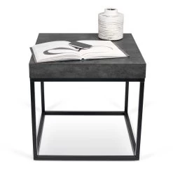 Bijzettafel Petra 55x55 Industrieel - Beton/zwart 24 Bijzettafel Petra 55x55 Industrieel - Beton/zwart -Collectie Woonkamermeubels 9000.629341 Petra 55 Concrete Pure Black 2 380b