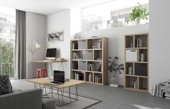 Opbergrek Berkeley 150 Cm 4 Niveaus - Eikfineer 22 Opbergrek Berkeley 150 Cm 4 Niveaus - Eikfineer -Collectie Woonkamermeubels 9500.316739 Berlin 4 L 150 Oak 11 d0f7