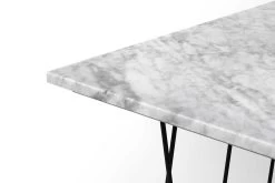 Salontafel Helix - Wit Marmer -Collectie Woonkamermeubels 9500.627415 Helix 120 white marble black legs 4 4ffe