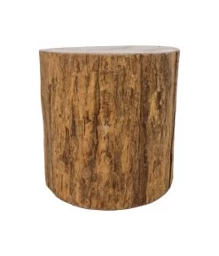 Boomstam Bijzettafel Root Ø45cm Teakhout - Naturel -Collectie Woonkamermeubels AJ RT45 2 45a8