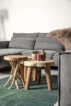 Kruk Branch ø35 Cm - Licht Teakhout 10 Kruk Branch ø35 Cm - Licht Teakhout -Collectie Woonkamermeubels AMBRANCH JCTR3L IC RUG025 c4af