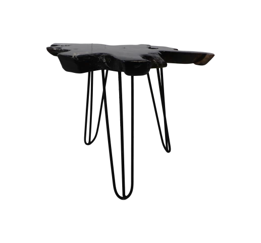 Bijzettafel Lilianne Teakhout Boomstam - Zwart/ Epoxy 2 Bijzettafel Lilianne Teakhout Boomstam - Zwart/ Epoxy - Afbeelding 2
