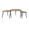 Set Van 3 Salontafels Niekirk - Bruin/zwart