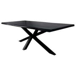 Eettafel Davor 220x100cm - Zwart -Collectie Woonkamermeubels Ontwerp zonder titel 63 1900