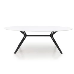 Ovale Eettafel Imagine 240x120 Cm-wit