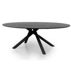 Ovale Eettafel Ariadne 240x120 Cm-zwarte Es -Collectie Woonkamermeubels Ontwerp zonder titel 2023 01 06T085243.779 46b2