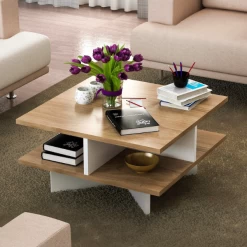 Salontafel Bibi-walnoot/wit 6 Salontafel Bibi-walnoot/wit -Collectie Woonkamermeubels Ontwerp zonder titel 2023 02 06T101413.637 74a7