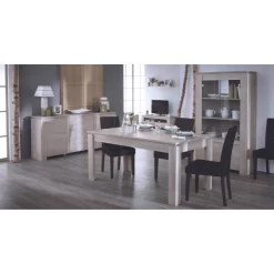 Eetkamerstoel Gust-zwart -Collectie Woonkamermeubels Ontwerp zonder titel 2023 04 18T091858.572 9970