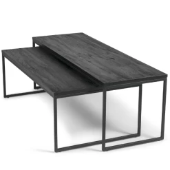 Set Van 2 Salontafels Delfi 119/100 X 40/35 X 40/55 Cm-Geborstelde Eik/staal -Collectie Woonkamermeubels Ontwerp zonder titel 2023 05 23T131020.614 411a