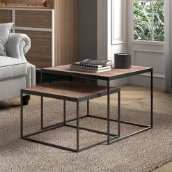 Quinn' Mangolia Salontafel | Metalen Frame, Exotisch Houten Oppervlak | H45/35 X B65/50 X D65/50 Cm -Collectie Woonkamermeubels Ontwerp zonder titel 2023 11 23T093426.134 8059