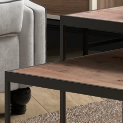 Quinn' Mangolia Salontafel | Metalen Frame, Exotisch Houten Oppervlak | H45/35 X B65/50 X D65/50 Cm -Collectie Woonkamermeubels Ontwerp zonder titel 2023 11 23T093853.981 d8b5