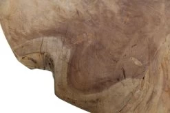 Bijzettafel Root ø55cm Ronde Boomstam Schijf – Teak/wortelhout 7 Bijzettafel Root ø55cm Ronde Boomstam Schijf – Teak/wortelhout -Collectie Woonkamermeubels SAF ST1004 3 8ade