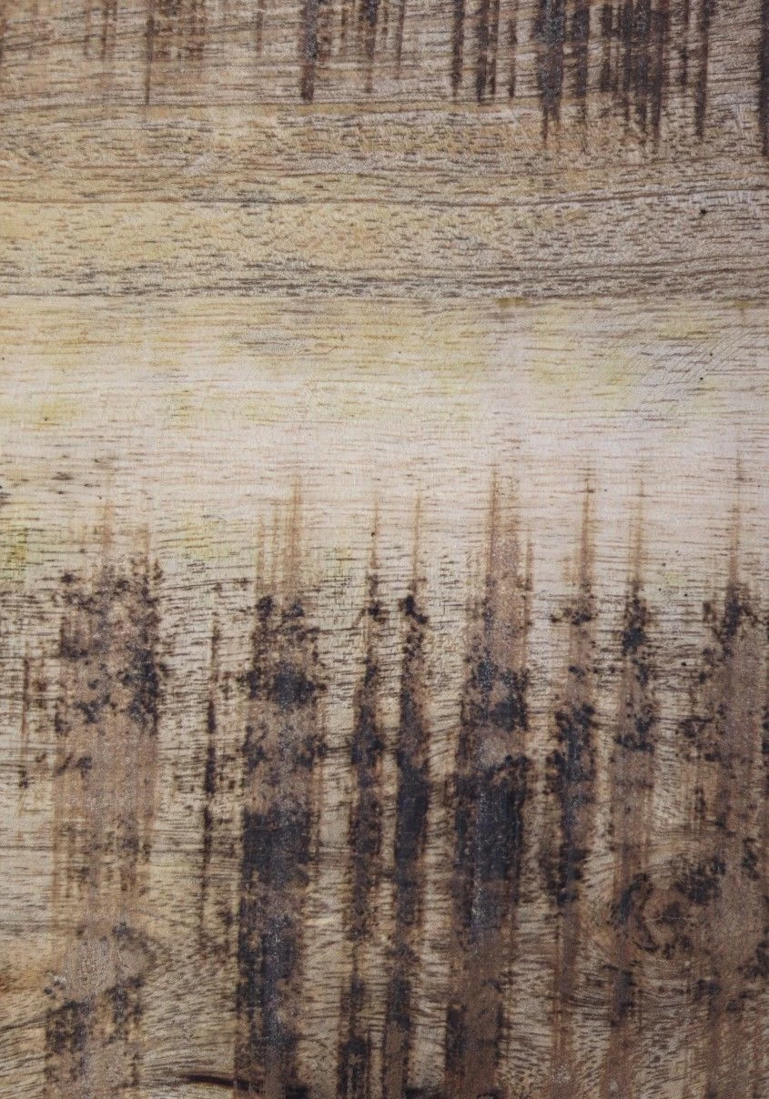 Nachtkastje Mitchell 45x35x55cm Mangohout - Naturel/zwart 2 Nachtkastje Mitchell 45x35x55cm Mangohout - Naturel/zwart - Afbeelding 2